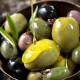 Olive géante verte