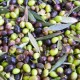 Huile d'Olive de France - Fruité mûr