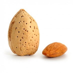 Amandes coques