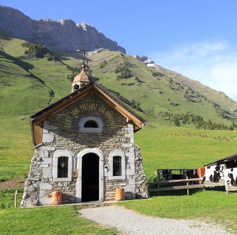 persille-des-aravis-hetf