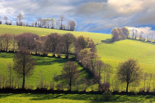 pave-d-auge-paysage